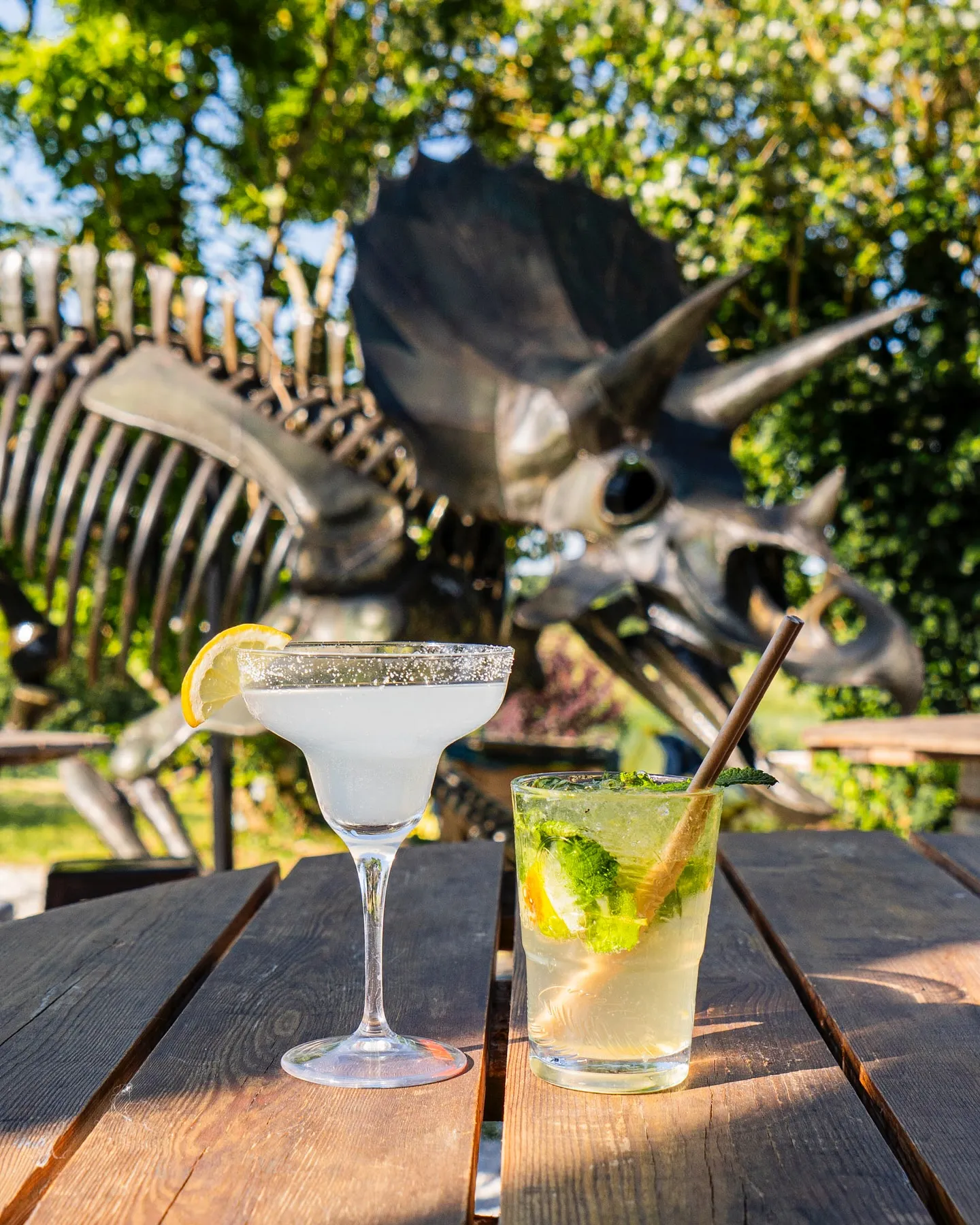 Cocktails de La Gragnaguette, guinguette près de Toulouse